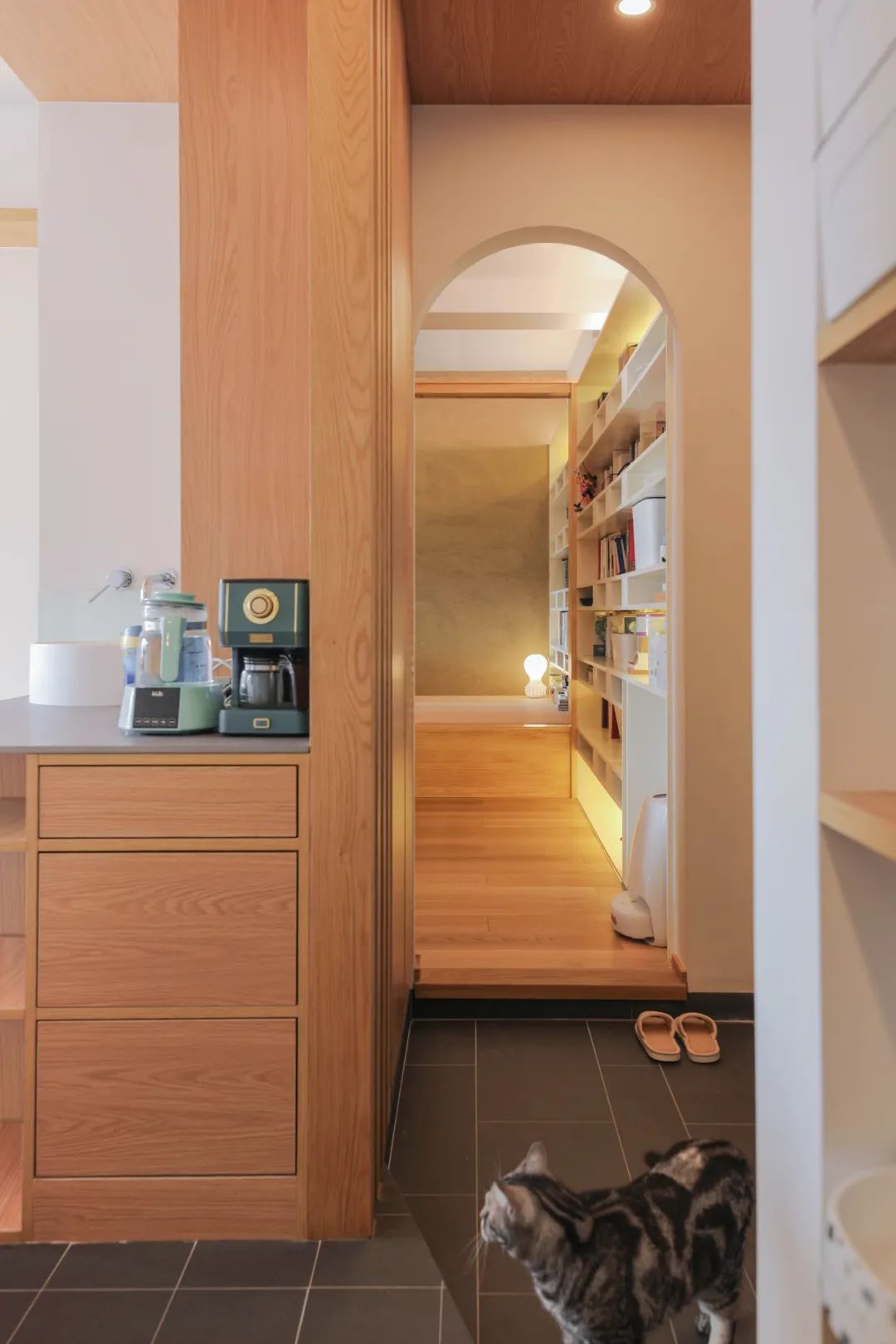 一人兩喵丨貓咪“空中走廊”、我的“和風書房”