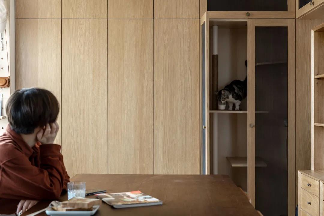 65㎡住一人一貓還裝下了上百冊藏書，家里親戚都酸了