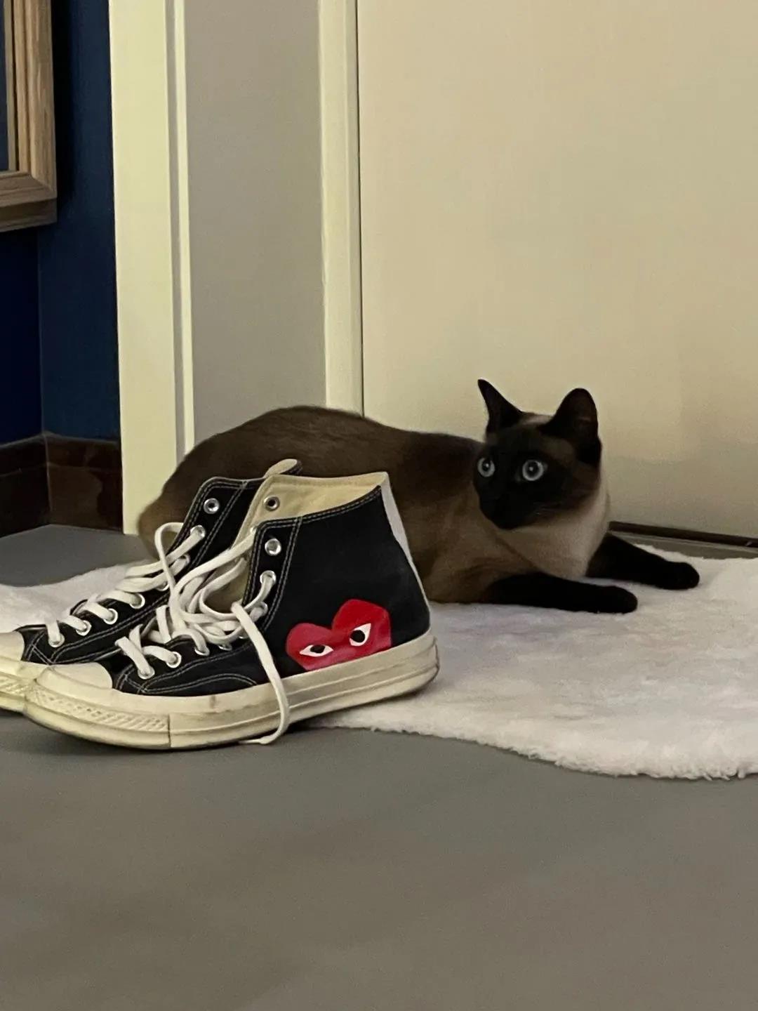 音樂人單身帥哥有腹肌有貓，1人任性住105㎡，燃爆了~ 