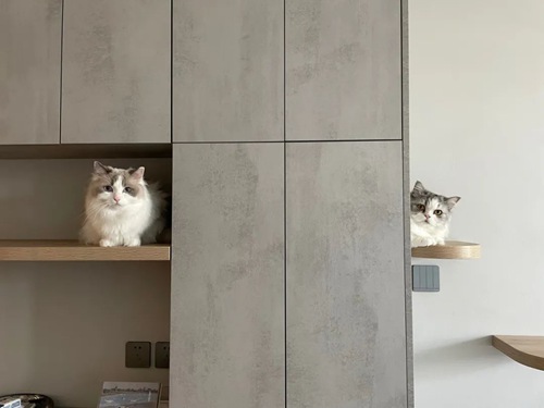 貓肥家潤(rùn)--成都小夫妻硬磕85㎡小兩居，處處叫絕