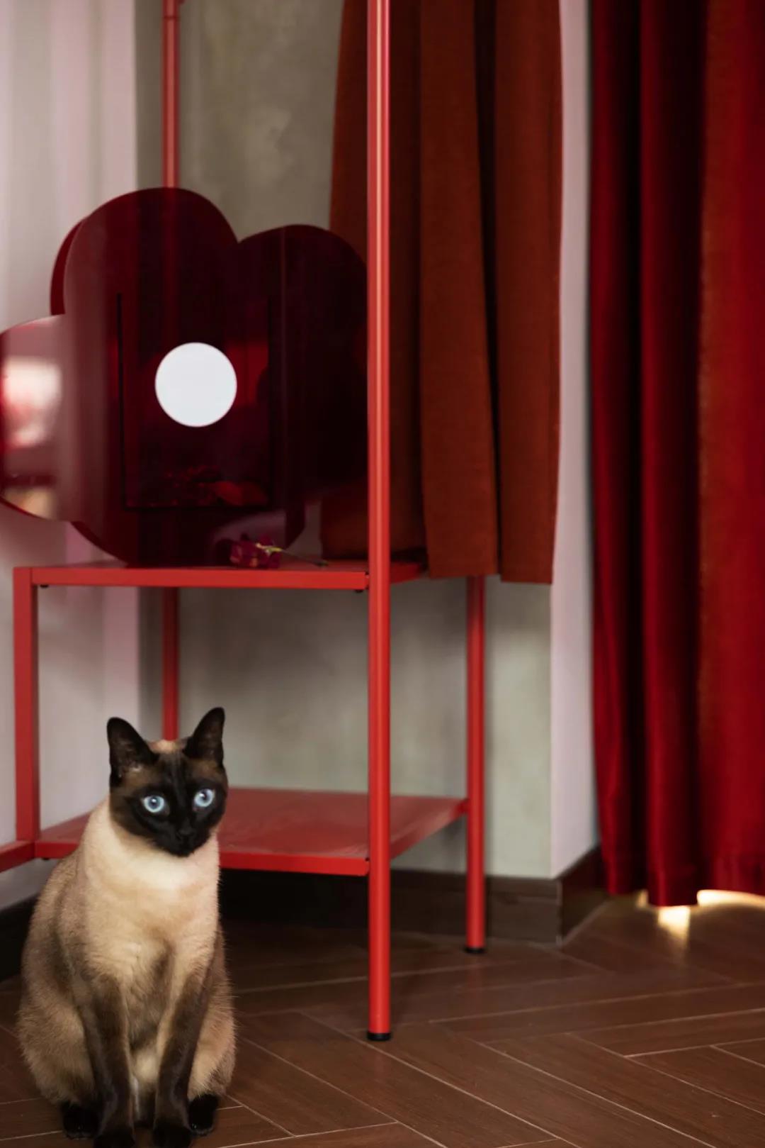 音樂人單身帥哥有腹肌有貓，1人任性住105㎡，燃爆了~ 