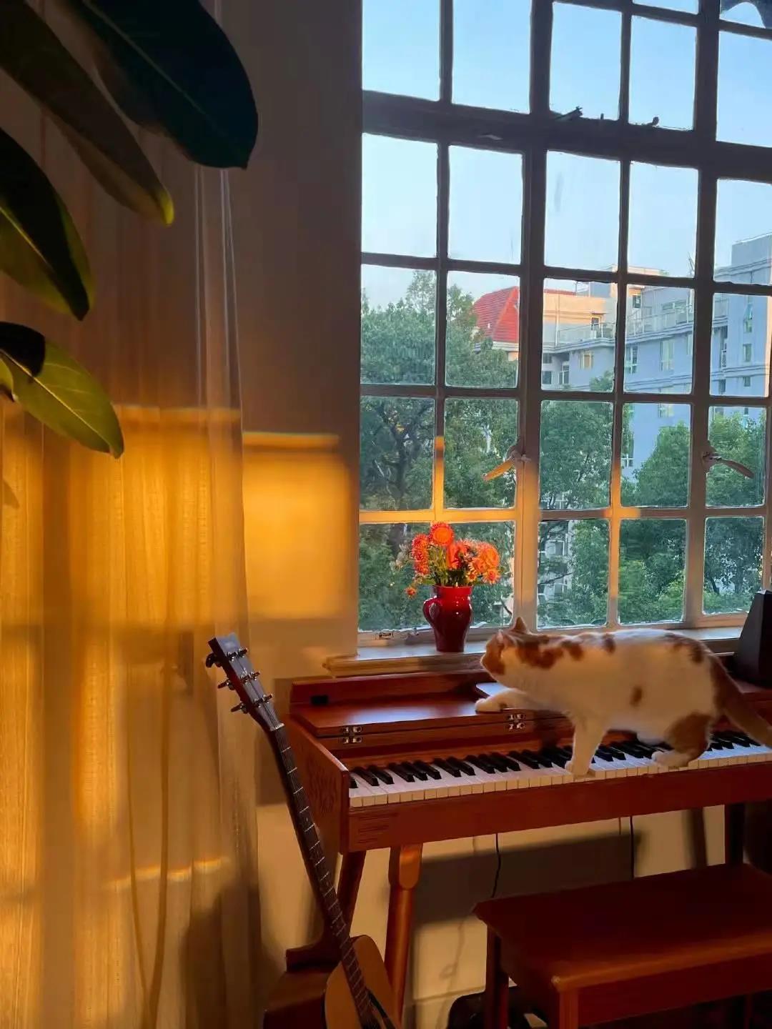 這屆情侶有多會住？格子門窗日光浴，隨性又自由	