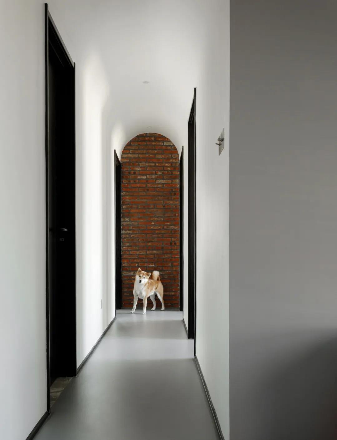 兩人一狗“斷舍離”，給生活做減法，拒絕emo! 