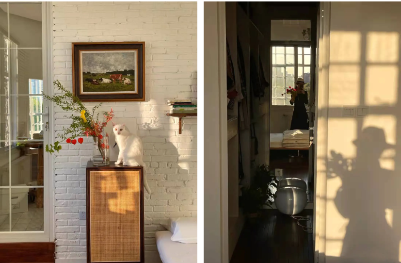 這屆情侶有多會?。扛褡娱T窗日光浴，隨性又自由	