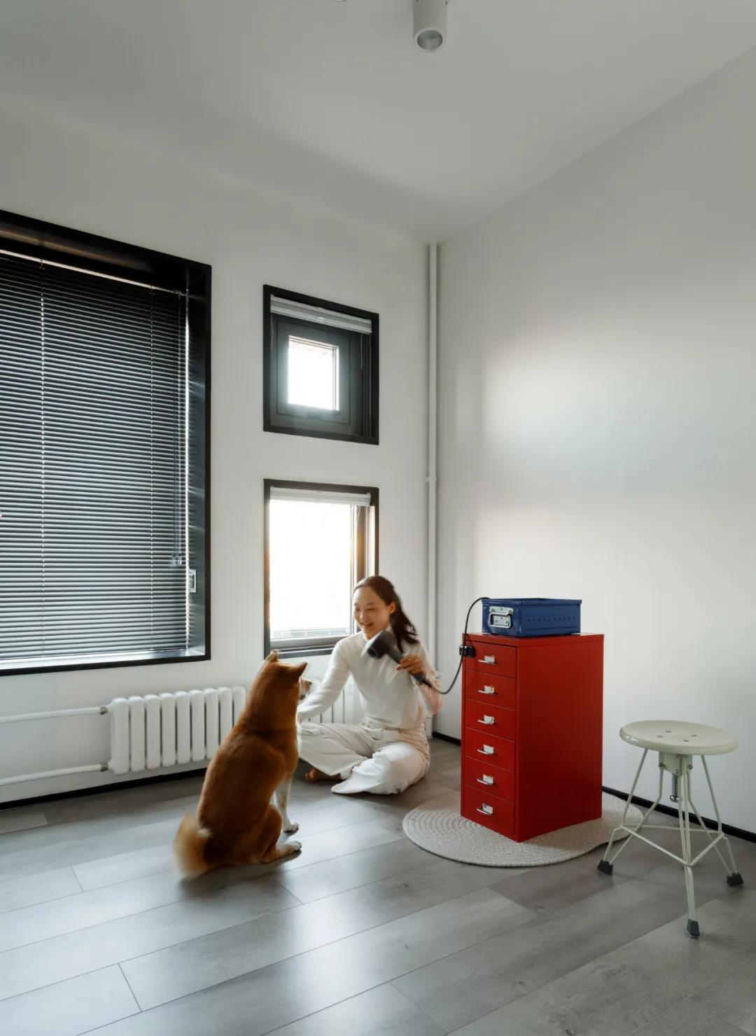 兩人一狗“斷舍離”，給生活做減法，拒絕emo! 