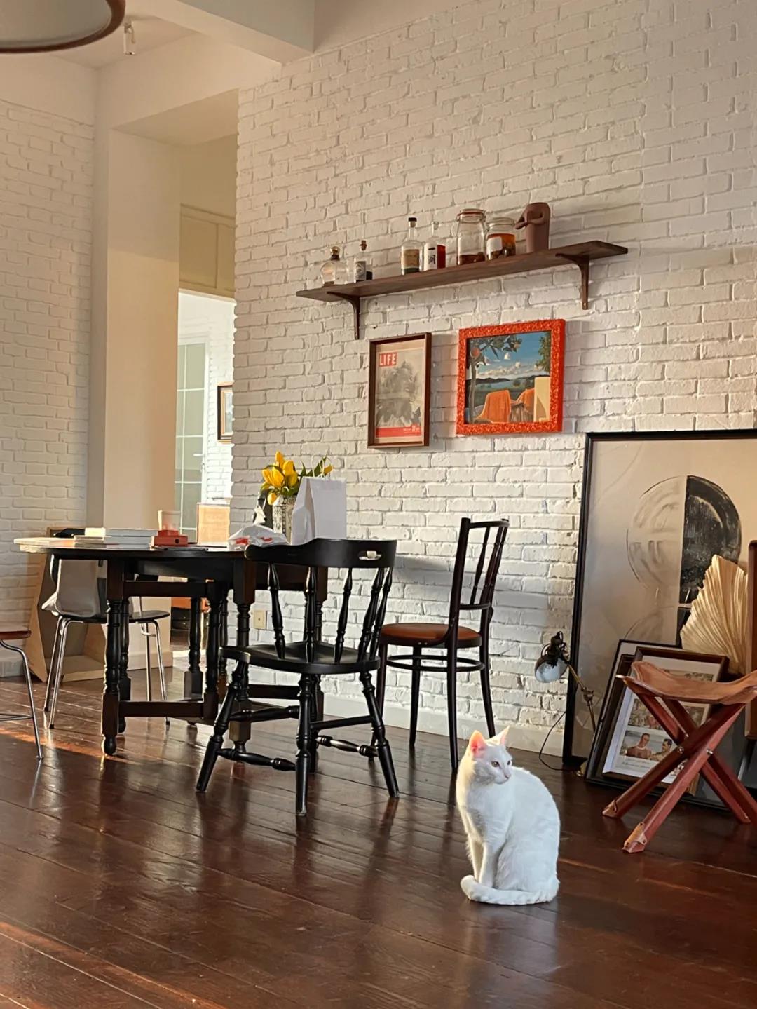 這屆情侶有多會??？格子門窗日光浴，隨性又自由	