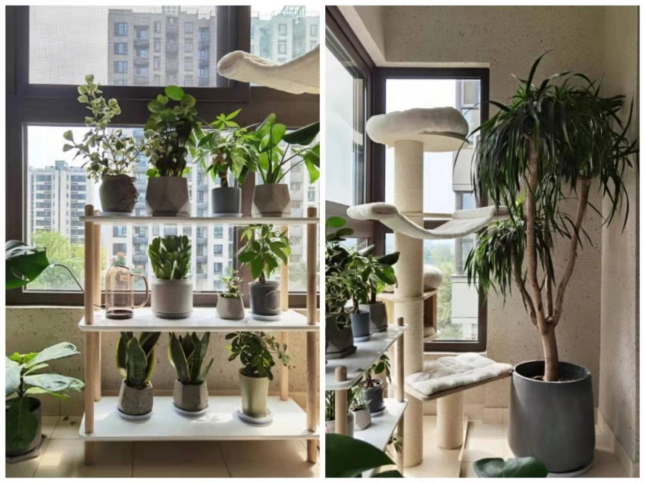 拯救中國式高飽和度老房，2022建議學學她家溫柔風	