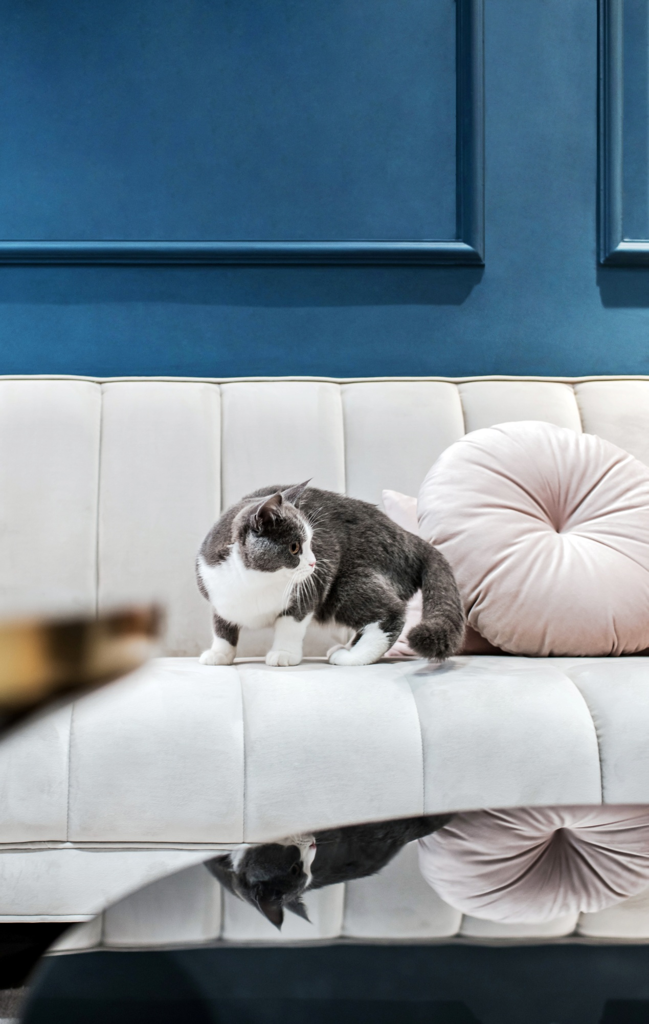 她家110㎡又藍又粉の野獸派設計，真是人間寶藏宅	