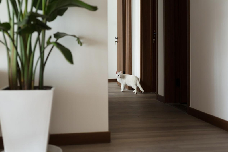 “大隱隱于市”：隱居在80㎡新中式的詩情畫意