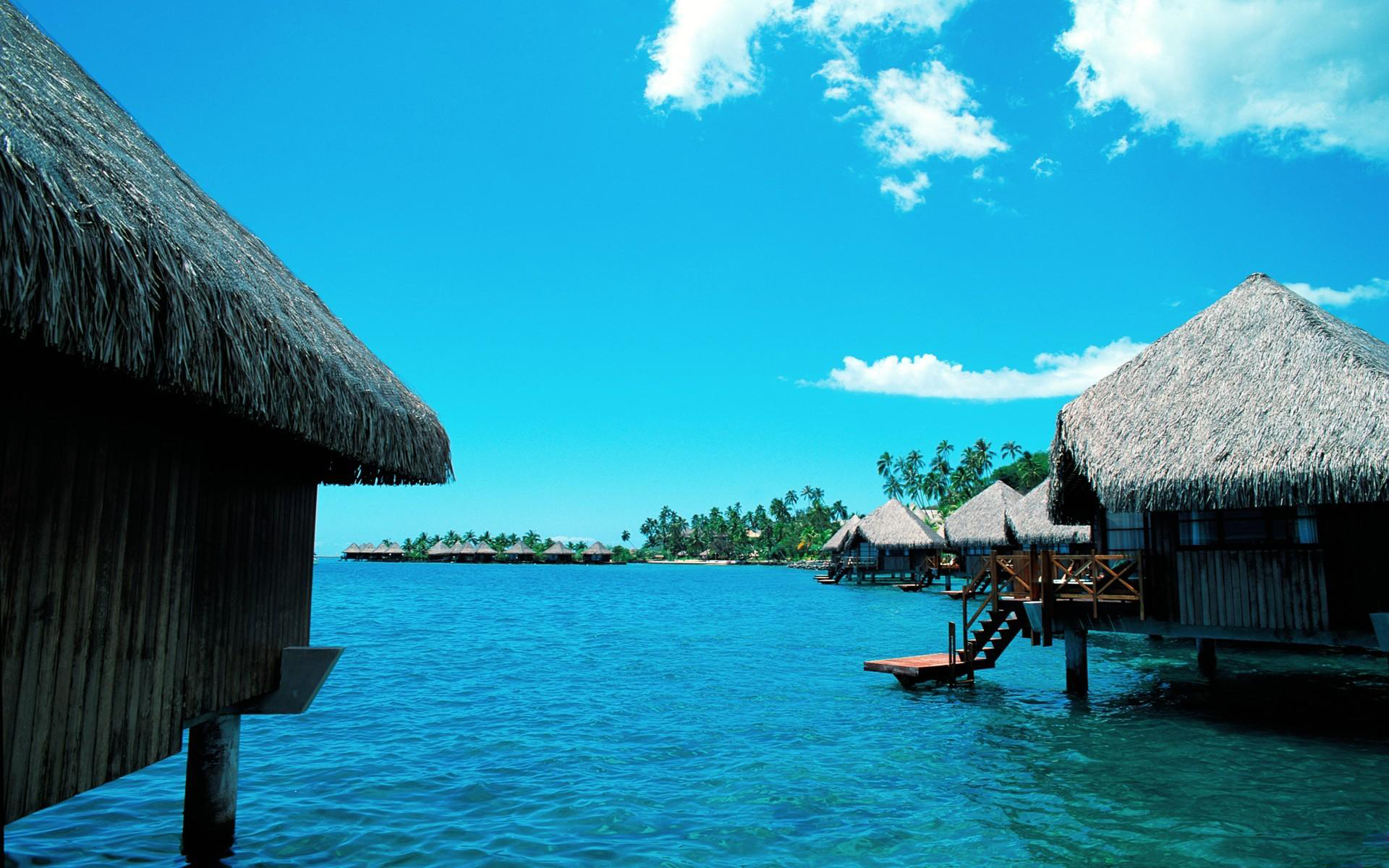 客廳裝潢選用真皮沙發，真皮沙發日常保養措施看過來