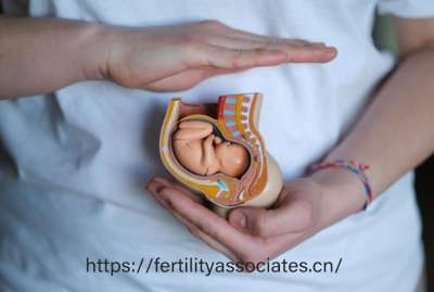 2024裝修風(fēng)格趨勢：現(xiàn)代簡約VS復(fù)古工業(yè)風(fēng)怎么選?